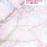 クリエイターエコノミーニュース